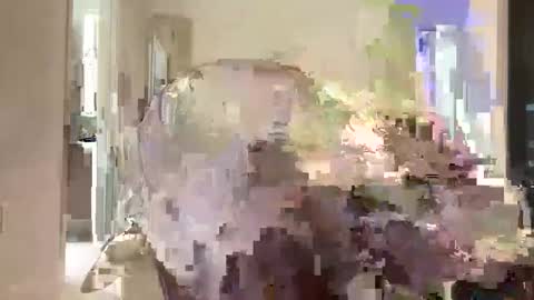 Snapshot of camiliakxoxo chatting on October 4, 12:16 am camiliakxoxo online show from October 4, 12:16 am