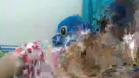      ing  online show from May 8, 4:38 am