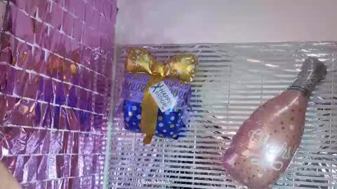 Char online show from October 19, 4:36 am