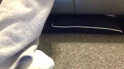 cash13bychanel online show from January 17, 3:14 am