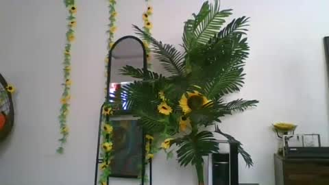 cashy_meal online show from July 1, 10:59 am