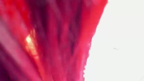 Cata online show from November 10, 2:01 pm