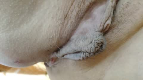 ANNYANNY online show from March 24, 5:51 pm