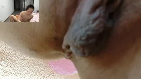 ANNYANNY online show from April 18, 7:58 pm