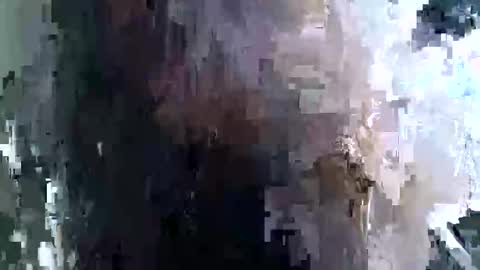 charllette online show from March 23, 8:31 am