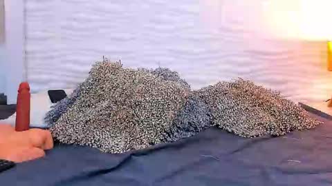 Charon  Stom online show from March 25, 2:20 pm