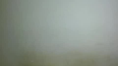 chocolatebony_ online show from January 22, 10:06 pm