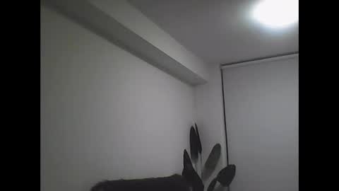 comein26 online show from May 15, 4:27 am