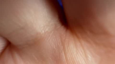 Rose Roys my  online show from September 24, 10:47 am