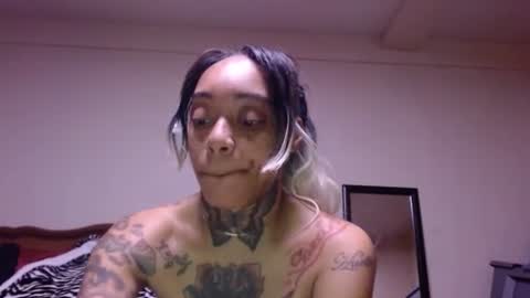 CreamyExotica online show from January 16, 12:01 pm