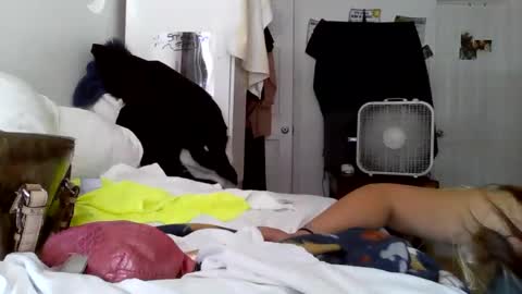 crystalbarbie214 online show from December 19, 5:27 pm