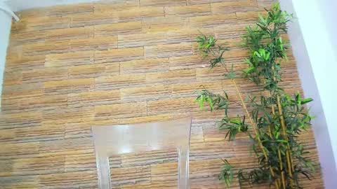 cupcake_izzy online show from December 4, 5:53 am