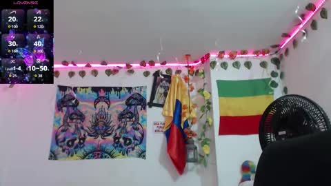 Dakko online show from January 8, 8:40 am