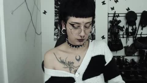 dakota online show from November 20, 4:57 am