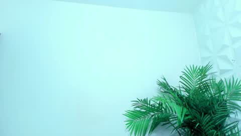 DANIELA online show from July 23, 10:45 am