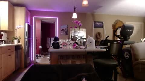 DanikaWhite69 online show from December 15, 11:04 am