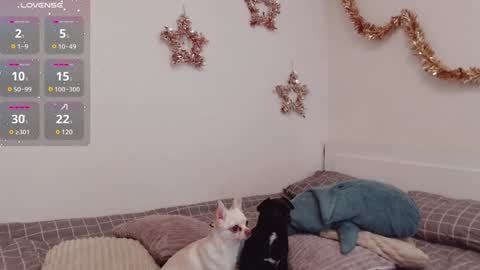 Snapshot of demiamour chatting on January 14, 10:27 am Demi. not your babybabebb and other shit online show from January 14, 10:27 am