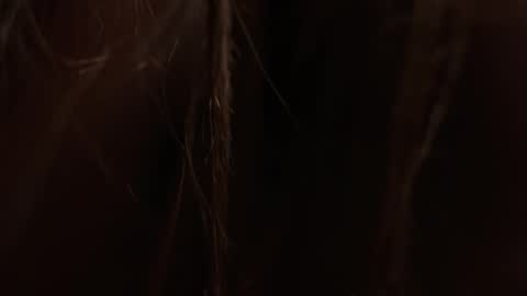 digital_princess online show from April 23, 11:51 pm