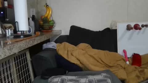 Sofie online show from February 19, 8:03 am