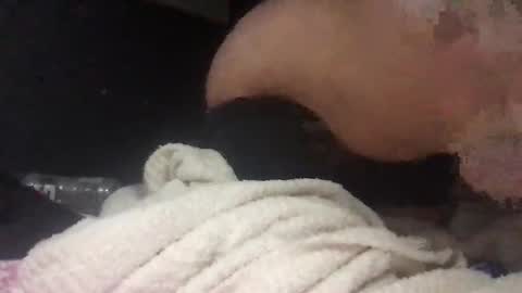 Dixie Rect online show from April 24, 2:14 am