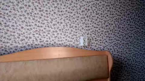 dreamass911 online show from December 19, 9:23 am