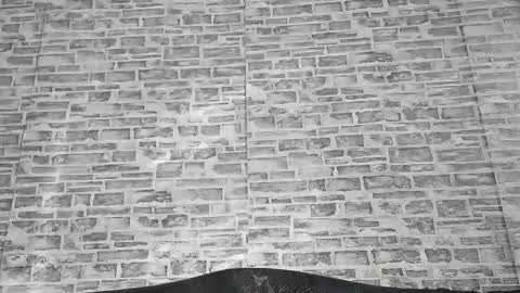 edithmanning online show from October 29, 7:45 am