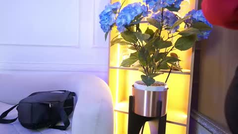 Elasummeer online show from January 13, 11:47 am