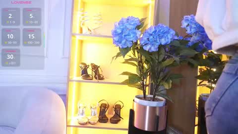 Elasummeer online show from November 17, 11:55 am