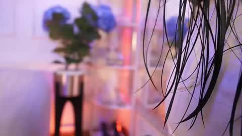 Elasummeer online show from February 12, 11:56 am