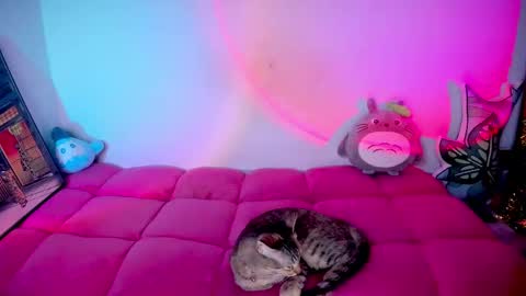 RH-NEGATIVE GREEN-EYED BAELIEN online show from October 9, 6:23 pm