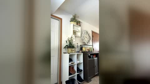 Linnys Palace online show from February 13, 6:42 pm