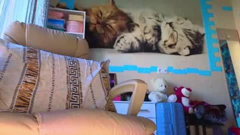 Mrs. Isabella online show from June 24, 3:05 am