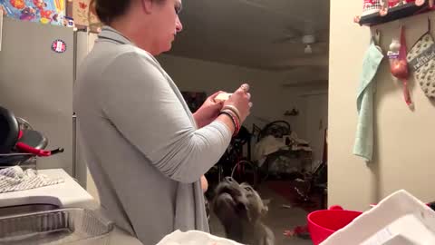 heatskii online show from November 12, 2:53 am