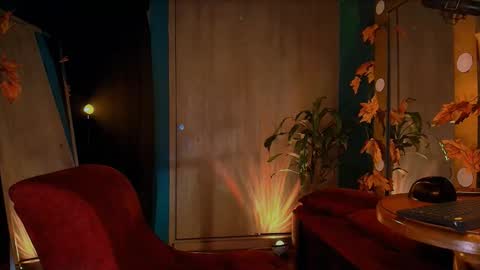 Heidi  online show from December 21, 1:26 am