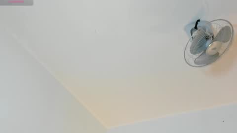 hilary_tailor online show from February 16, 11:10 am