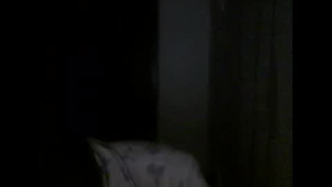 Snapshot of honey_yuzu chatting on October 20, 4:43 pm honey_yuzu online show from October 20, 4:43 pm