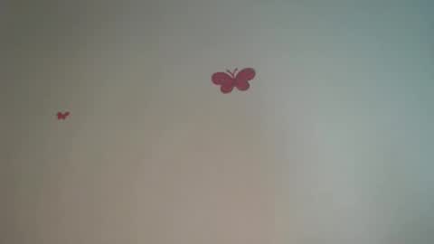 Iris online show from April 4, 8:29 pm