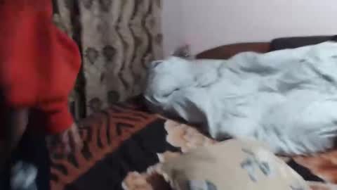 hugeassdevil online show from October 22, 8:52 am