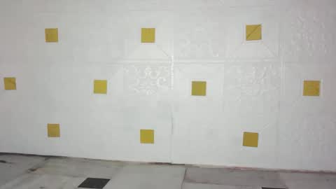 Saanu online show from November 14, 3:56 pm