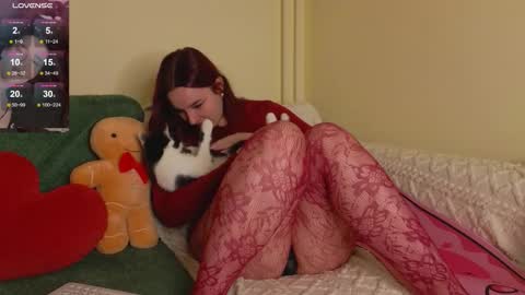 Daisy online show from December 19, 10:24 pm