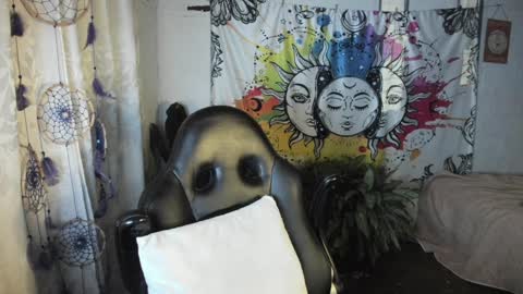 Sofia online show from February 8, 9:56 am