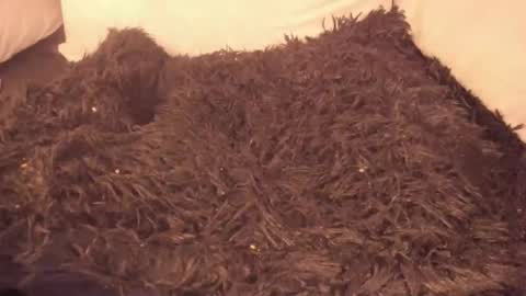 Katt your neighborg online show from April 10, 6:25 pm