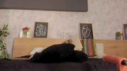 Kari online show from March 6, 12:00 pm