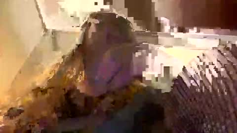 kay_la online show from April 29, 8:39 am