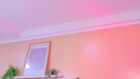   online show from January 8, 9:02 am