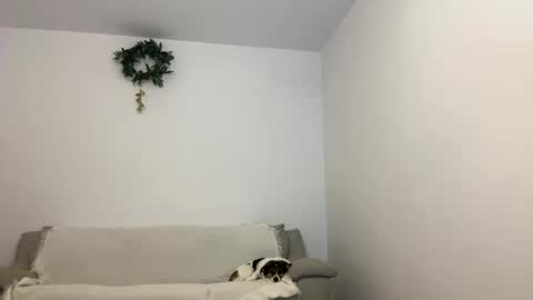 Kenna next time online - 2nd of Dec online show from January 31, 12:07 pm