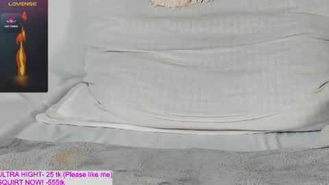 Kitty online show from April 8, 3:47 pm