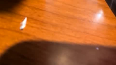 kittykat175154 online show from March 28, 11:43 am