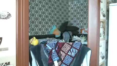 lady cute cat29 online show from October 29, 3:11 am