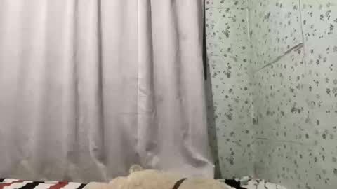 ladypetite11 online show from March 4, 11:39 am